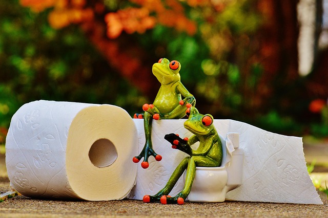 Sådan vælger du det optimale toiletpapir til erhvervsrejser og hoteller