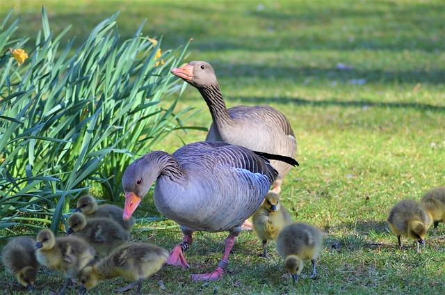 Wenn arbeit und familie kollidieren: Strategien für mehr harmonie